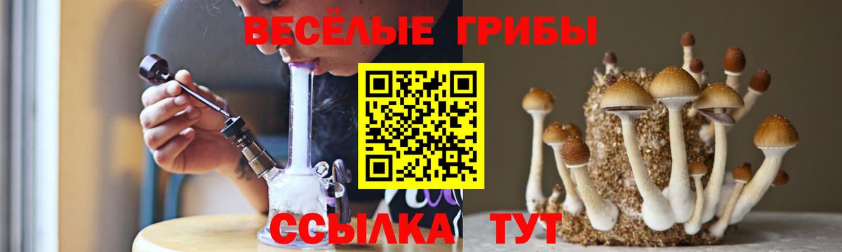 Псилоцибиновые грибы MAGIC MUSHROOMS  Галлюциногенные грибы мухоморы  Вход с VPN  Печора 